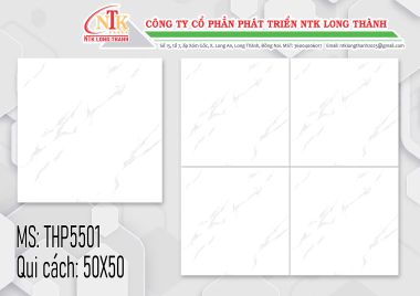 GẠCH ÓP 50X50 PAK VIỆT NAM