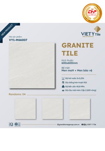 GẠCH 60X60 ĐÁ MATT: M66007