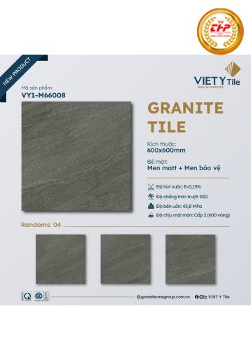GẠCH 60X60 ĐÁ MATT: M66008