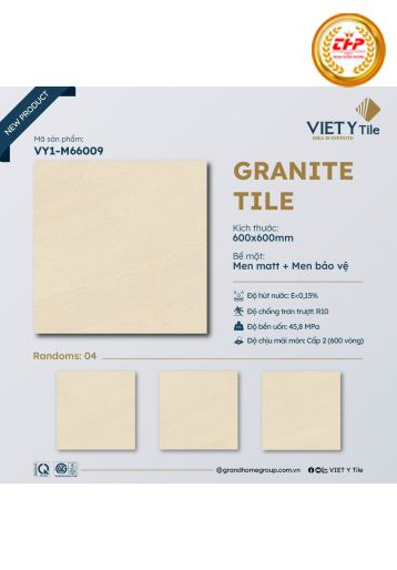 GẠCH 60X60 ĐÁ MATT: M66009