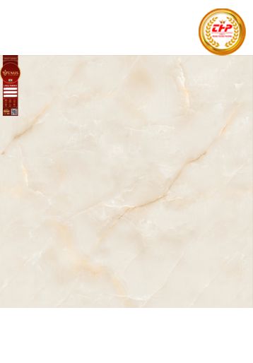 GẠCH ĐÁ 100X100: VS1002