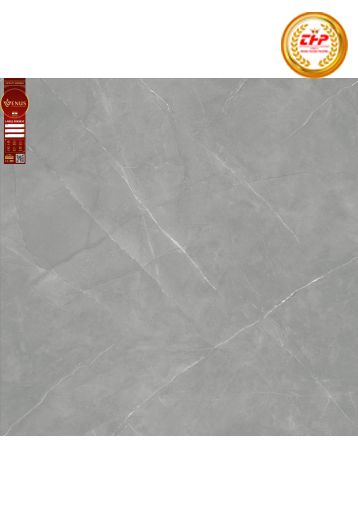 GẠCH ĐÁ 100X100: VS1003