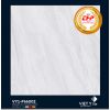 GẠCH ĐÁ 60X60 GRANIT: VY1-P66002