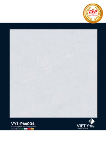 GẠCH ĐÁ 60X60 GRANIT: VY1-P66004