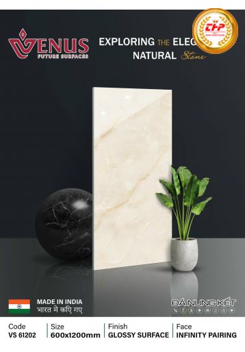 GẠCH ĐÁ 60X120: VS61202