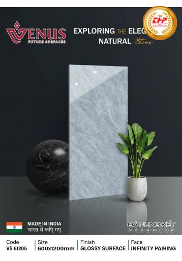 GẠCH ĐÁ 60X120: VS61205