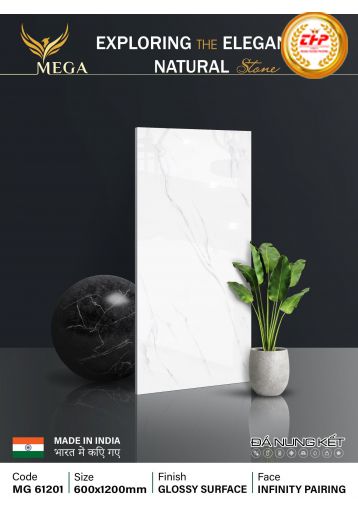 GẠCH ĐÁ 60X120: MG61201