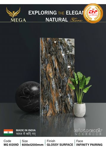GẠCH ĐÁ 60X120: MG61209D