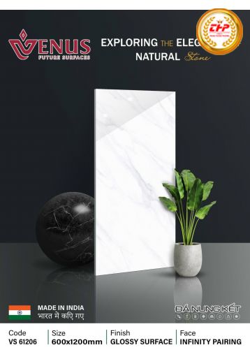 GẠCH ĐÁ 60X120: VS61206